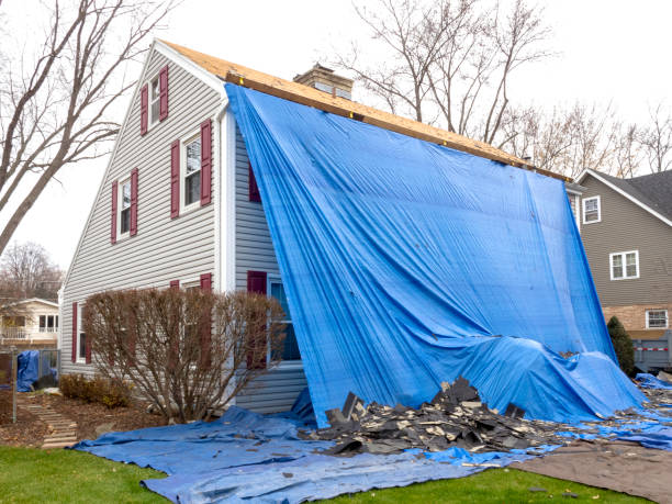 Best Storm Damage Siding Repair  in Jamestown, OH